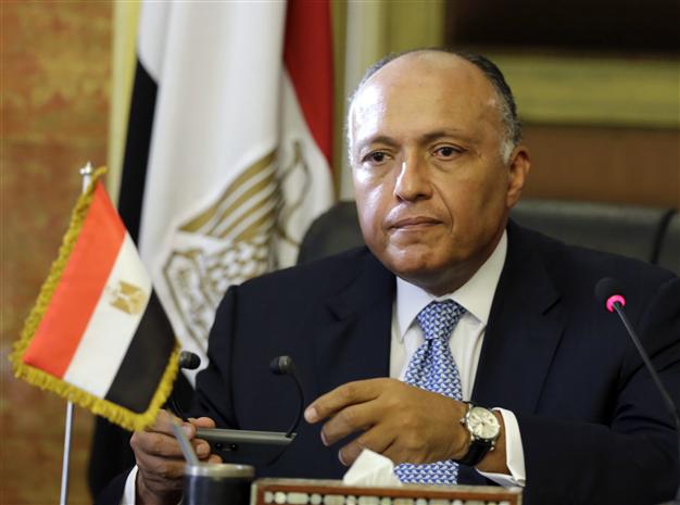 Egypt FM Says No ’Hypothesis’ Yet from Russian Plane Crash Probe